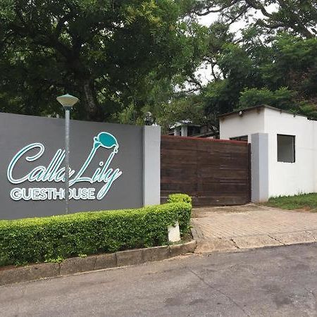 Calla Lily Guesthouse نيلسبروت المظهر الخارجي الصورة